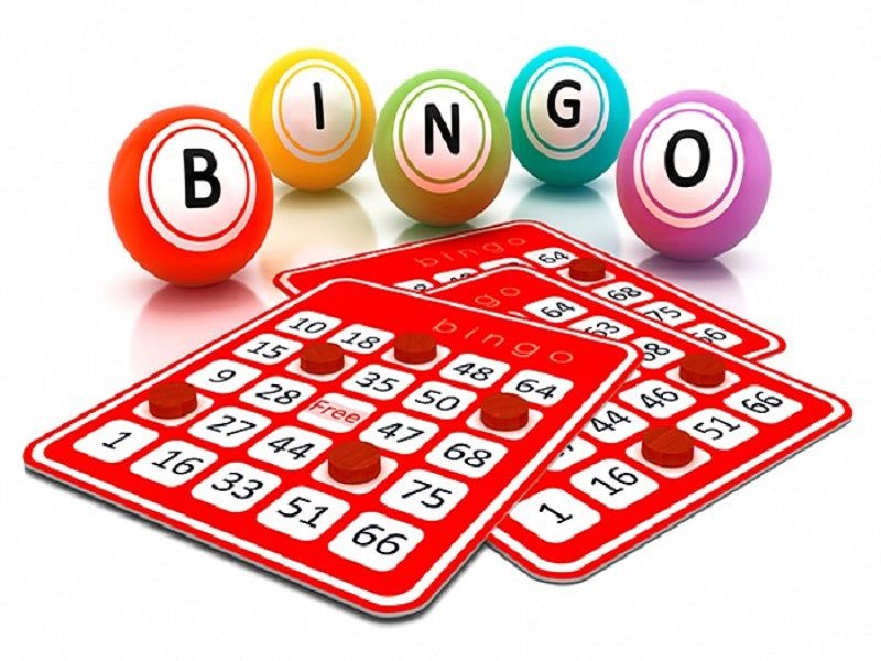 Bingo và những câu hỏi liên quan