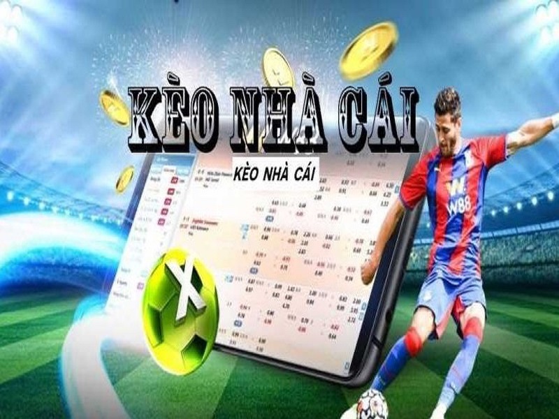 Kèo nhà cái giúp người chơi xác định cơ hội thắng cược